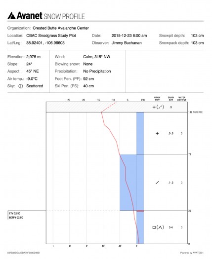 12/23 Snodgrass Study Plot