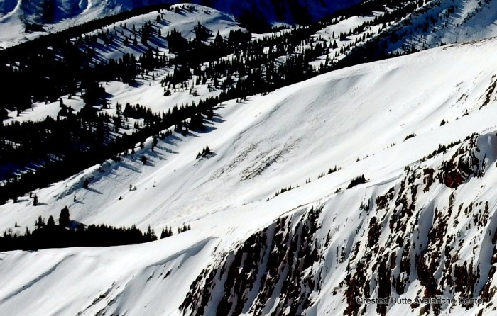 Crowns from 2/1 cycle. SE aspects on White Mtn