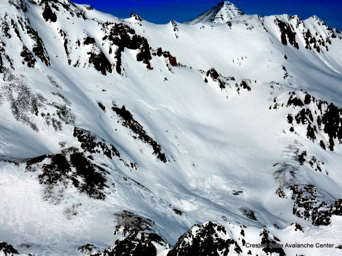 Crowns from 2/1 cycle. SW aspect on White Mtn. 