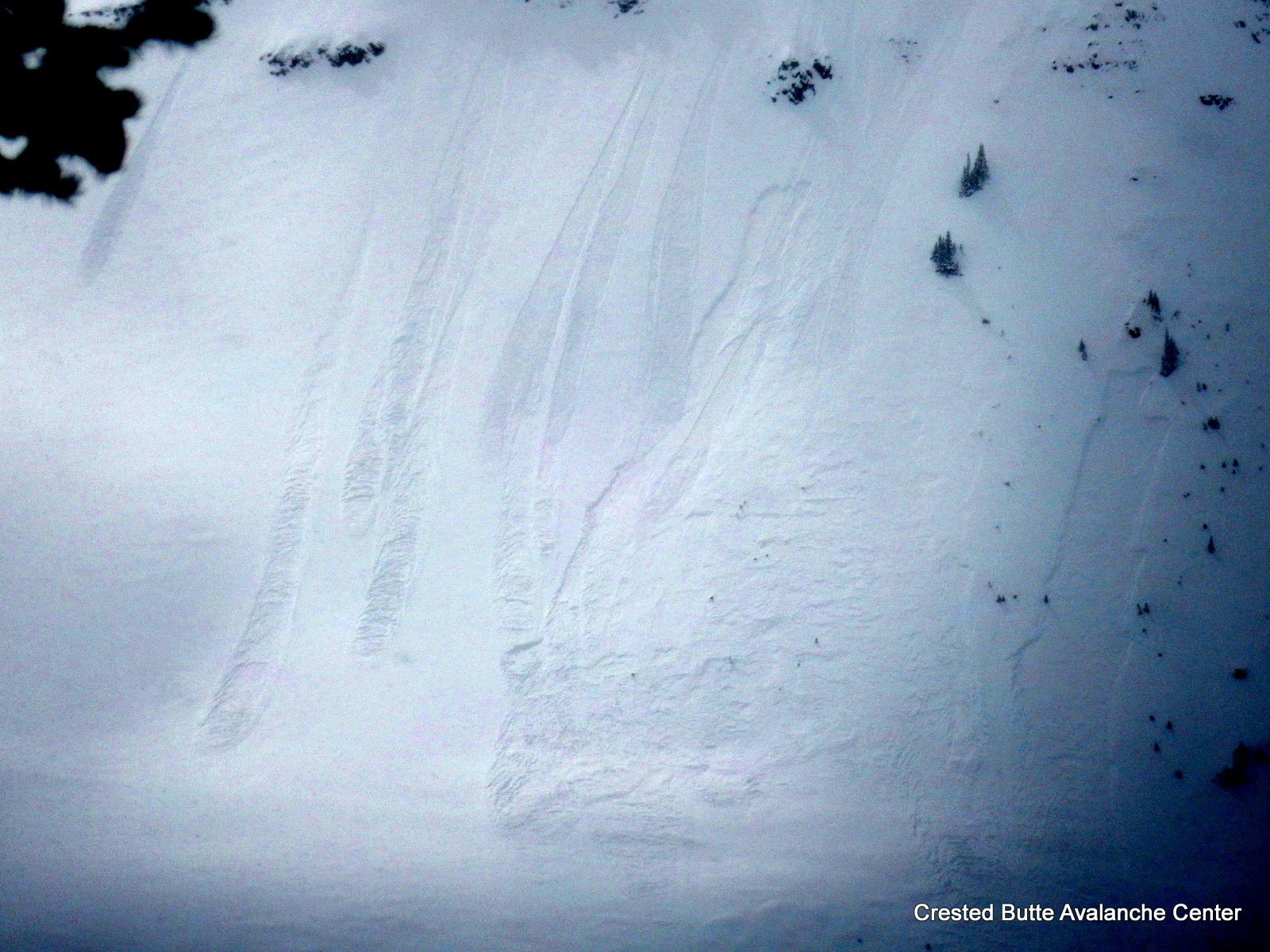 Redwell Basin, N aspect ATL. Natural loose snow and soft slab avalanches.