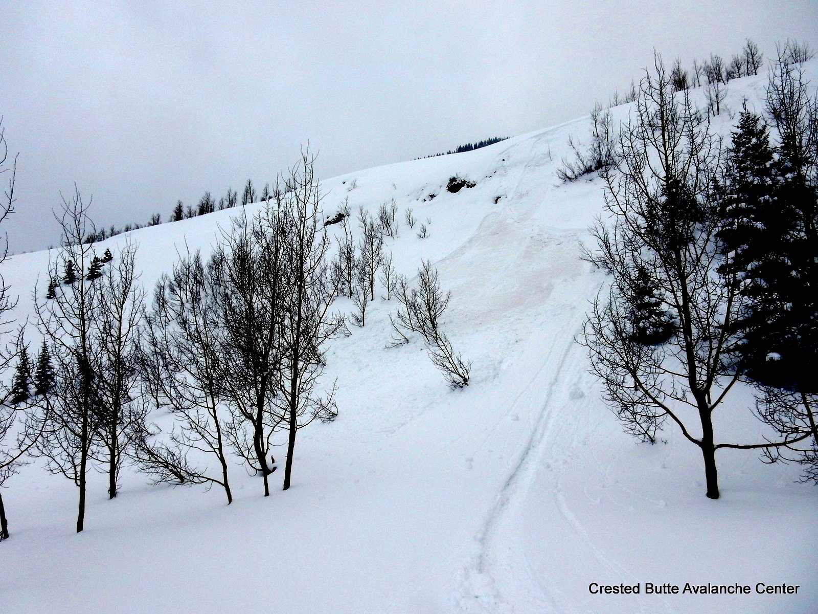 Pinwheels and skier triggered wet loose, NE aspect BTL near valley bottom.