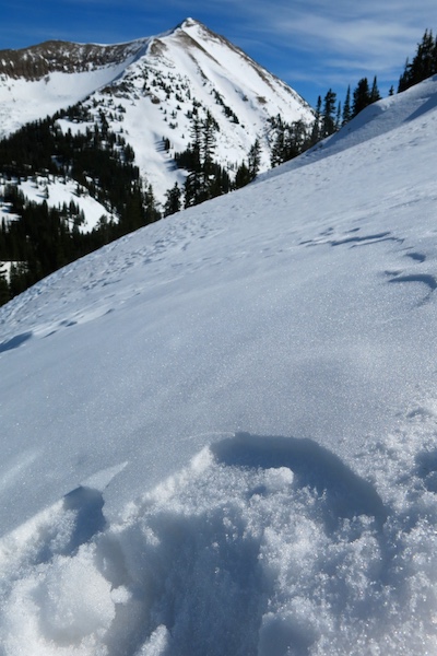 NE, 11,200, 32 degree slope. Just 50 feet below the above picture. Wind effected snow surface with mostly wind packed particles at the surface, but some small NSF in very small pockets between the wind effect and on the surface. This soft wind crust was resting over some faceted particles but the overall snowpack structure was generally not to concerning. Big variability from concerning structure to non concerning structure is the take home.