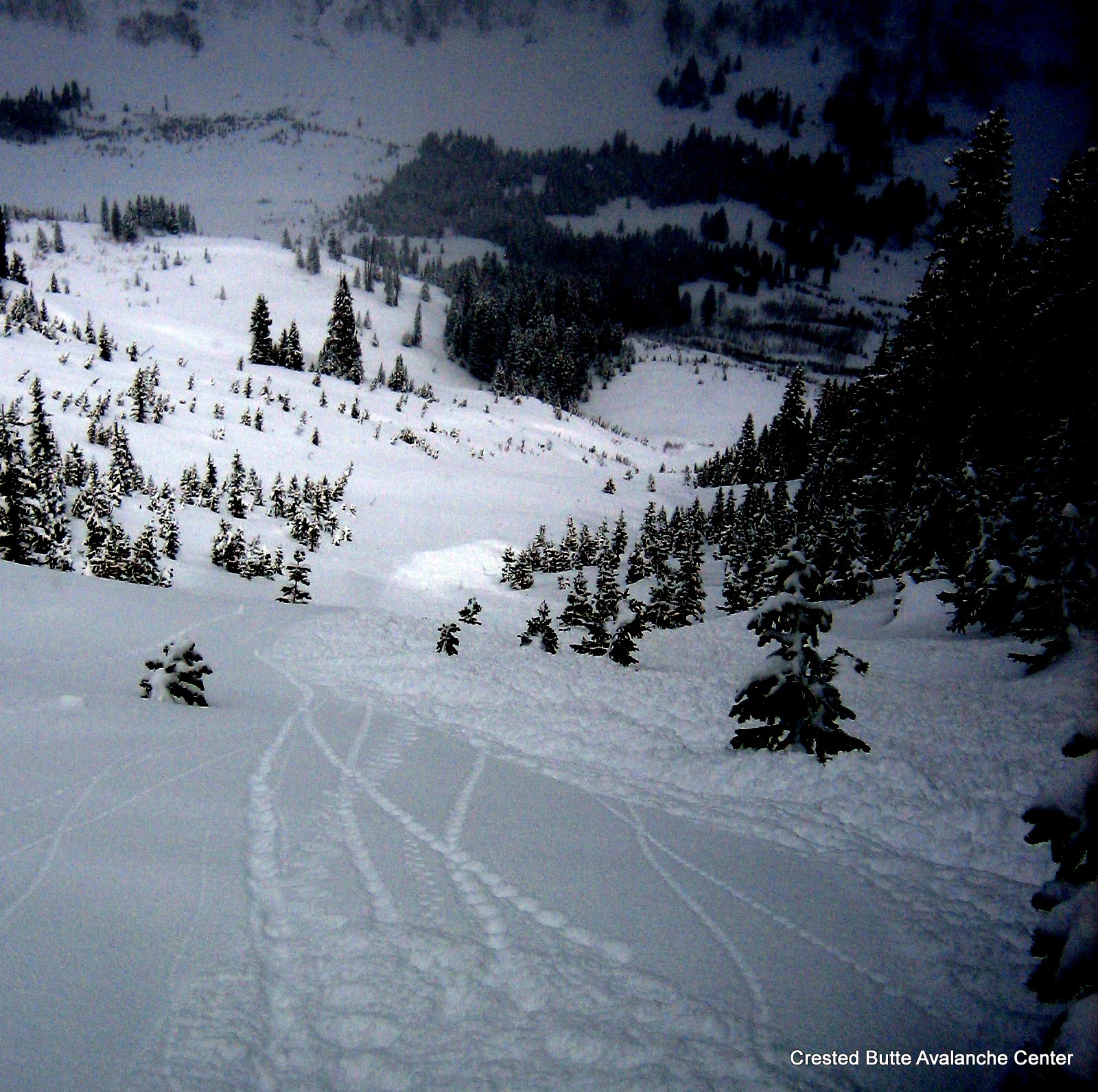 N aspect N/BTL. Fast moving D1.5 skier triggered loose dry avalanche that ran ~900 vertical. A few smaller sluffs also ran naturally in the same area on similar aspects. 