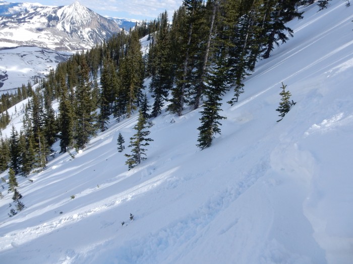 Looking east across the crown of the skier triggered slide in Climax Chutes last week. 