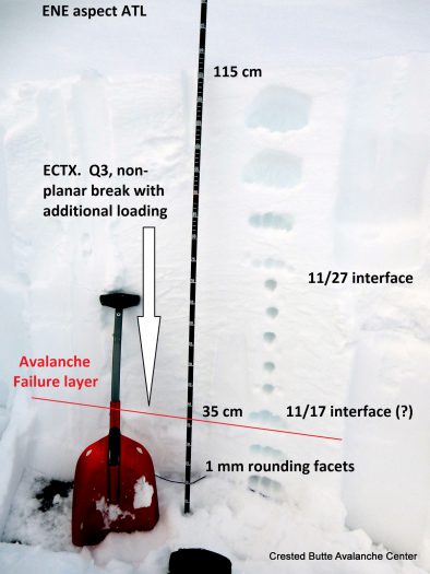 Crown line profile, ENE aspect ATL