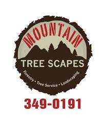 Mountain Tree Scapes